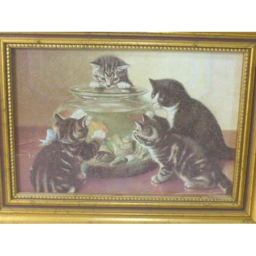 282 - Two Small Framed pictures depicting playful Cats and Other