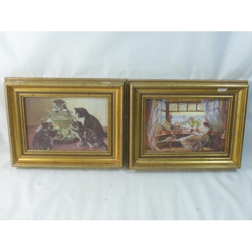 282 - Two Small Framed pictures depicting playful Cats and Other