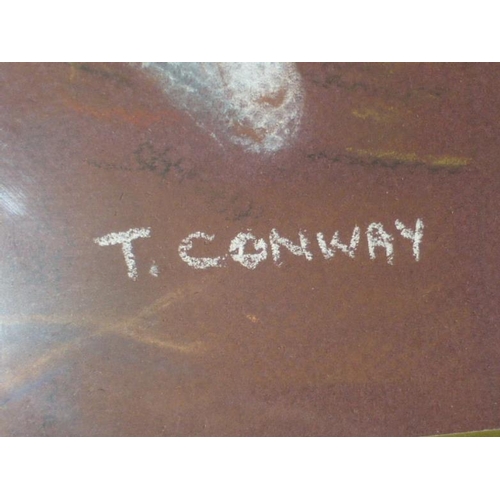 351 - Framed and Glazed watercolour depicting cats by T Conway