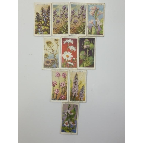 72 - Vintage Wills Cigarette Cards