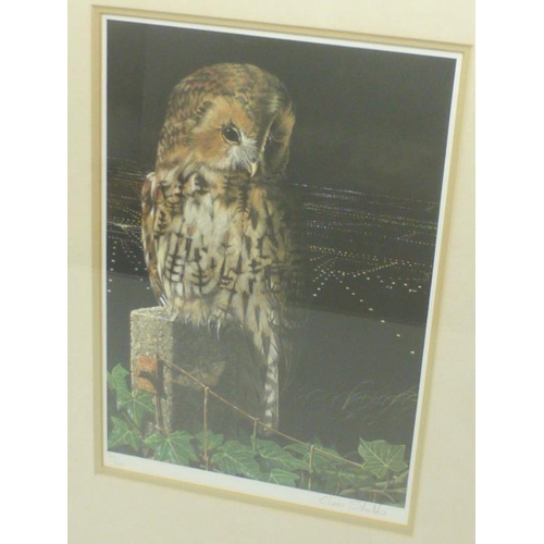 22 - Chris Shields Signed Limited Edition Print of Owls (301 of 500) 54cm x 42cm)