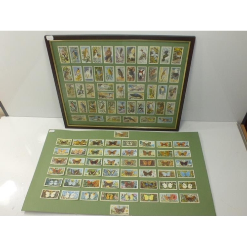 109 - Two Collections of Cigarette Cards including Butterflys and Birds, one Framed and Glazed