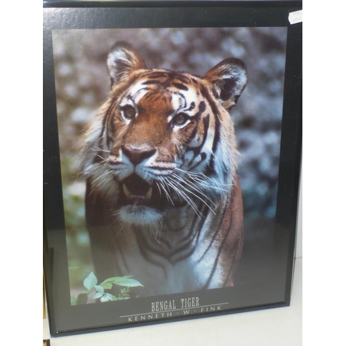 17 - Three Framed and Glazed Tiger Prints and a Renoir entitled Flowers in a Vase