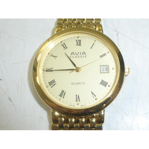 249 - Men's Avia Classic Watch in Presentation case