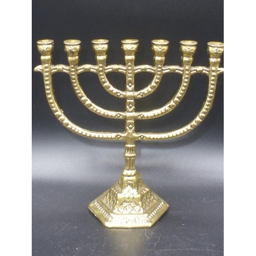 253 - Menorah Prayer Candle (Marked Israel hen halon) (5