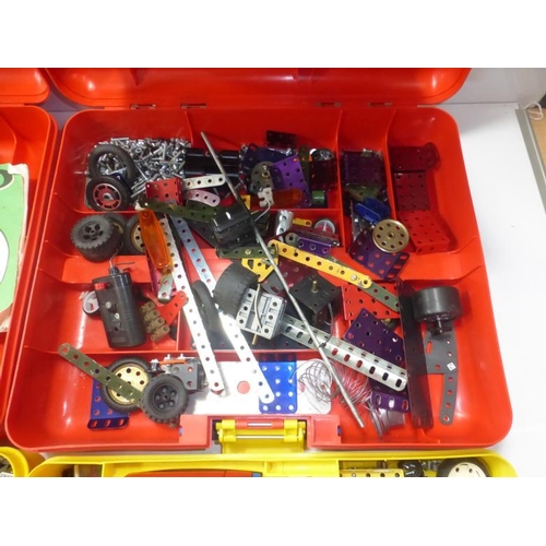 170 - Large Collection of Meccano in Plastic Storage Cases