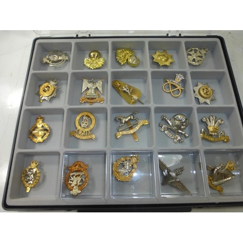 266 - Selection of Various Metal Military Badges complete with Display Case