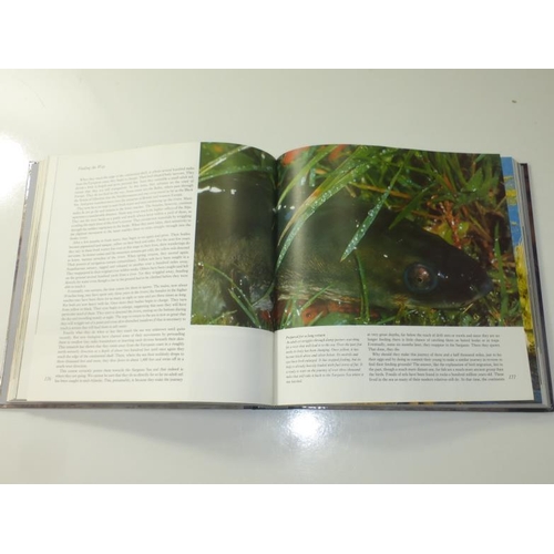 73 - Hard copy of David Attenborough The Trails of Life