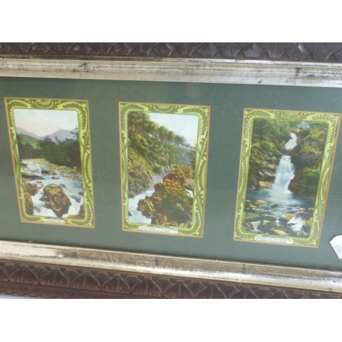 353 - Framed and Glazed Collection of Antique Postdards