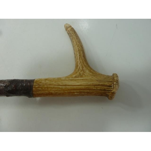 75 - Horn Handled Walking stick