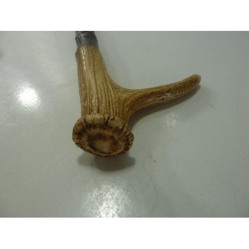 75 - Horn Handled Walking stick