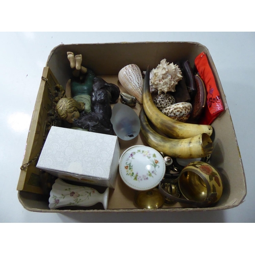 125 - Mixed Lot Including Figure's, Horn, Wedgwood, Shell's and More