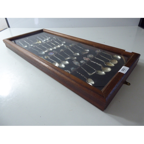 187 - Wall or Table Mounted Display Case complete with Selection of Decorative Spoons (25