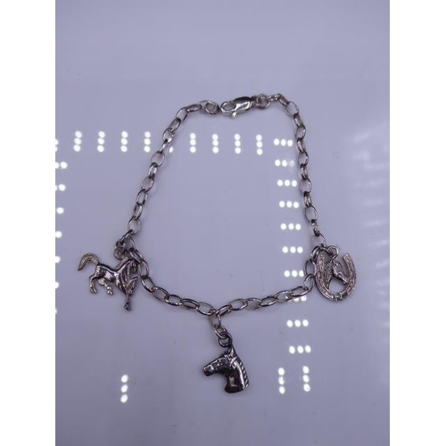 289 - Silver Bracelet and Charms