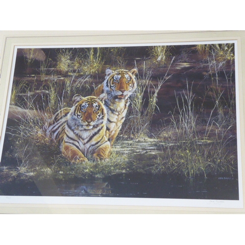 295 - Limited Edition Print of Tigers No 62/495 signed by Steve Burgess