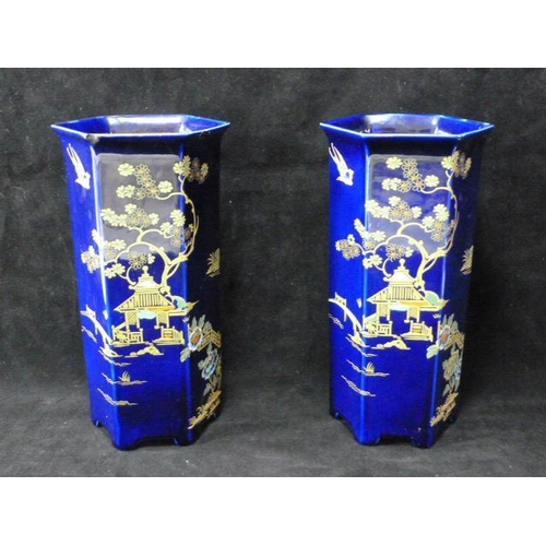 508 - Two Bursley ware Chinese themed Vases