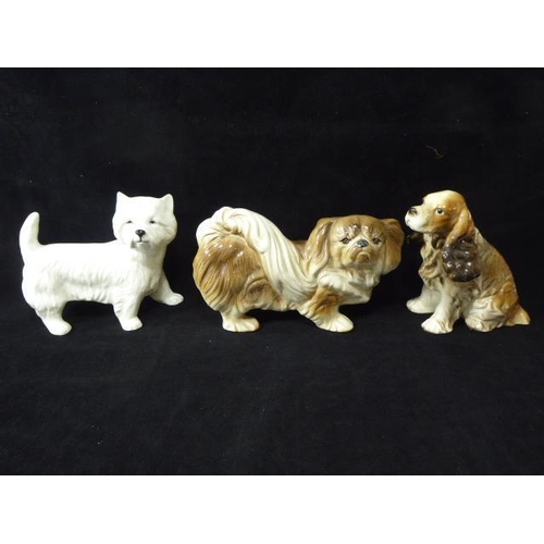 Lot 278       