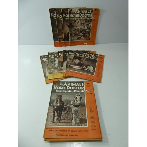 188 - Twenty Three Vintage Magazines Animals Home Doctor Encyclopedia Of Domestic Pets