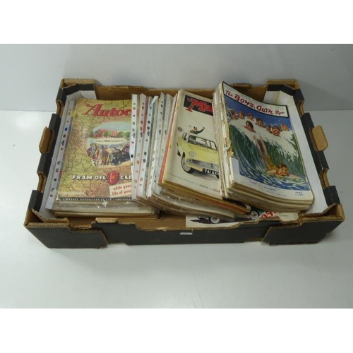 Lot 254       