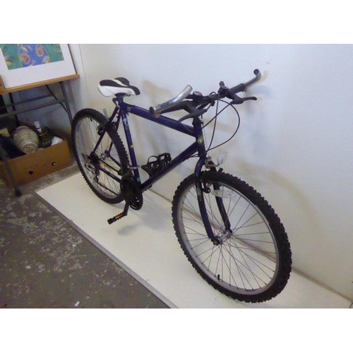 460 - Apollo Renegade 15 Speed Mountain Bike