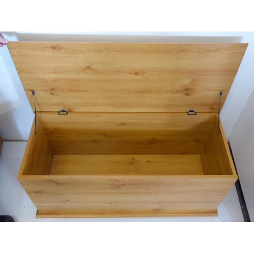 462 - Bedding / Toy Box (39