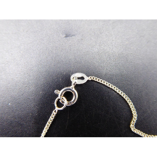 333 - Sterling Silver Chain With Cat Pendant