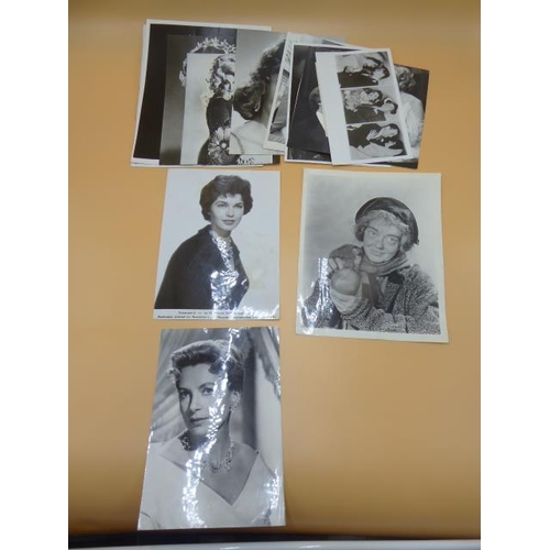 165 - Collection of Approx 14 Official Press Photographs of Stage and Screen Female 1940s & 50s Superstars... 