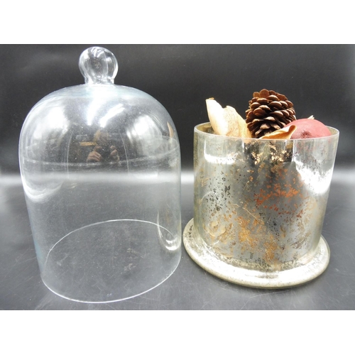 28 - Dried items in domed case