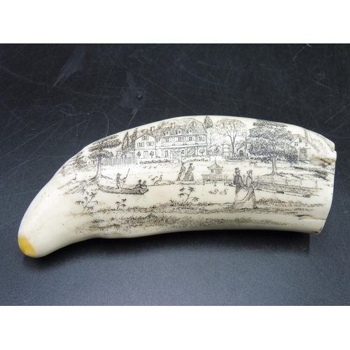 235 - Whale Tooth Scrimshaw of Mississippi Paddle Wheeler (7