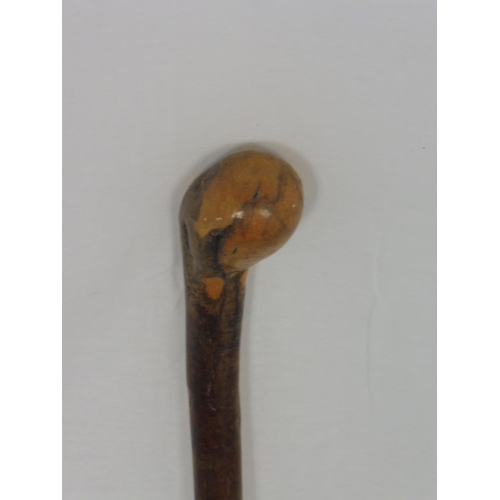 389 - Vintage Appalachian Chestnut Walking Cane