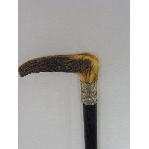 390 - Hallmarked Chester Silver Banded Walking Stick Presented in 1893