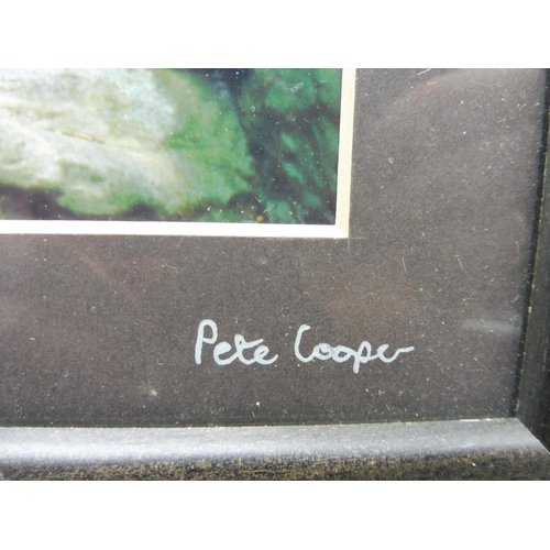 73 - Framed and Glazed print of leopard Signed by Pete Cooper (13 1/2