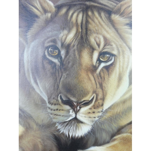 129 - Darryn Eggleton (born South Africa 1981) Natural World Artist Framed Limited Edition Giclee Canvas P... 
