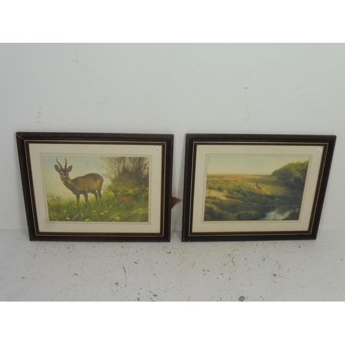 8 - Pair of Framed and Glazed Prints