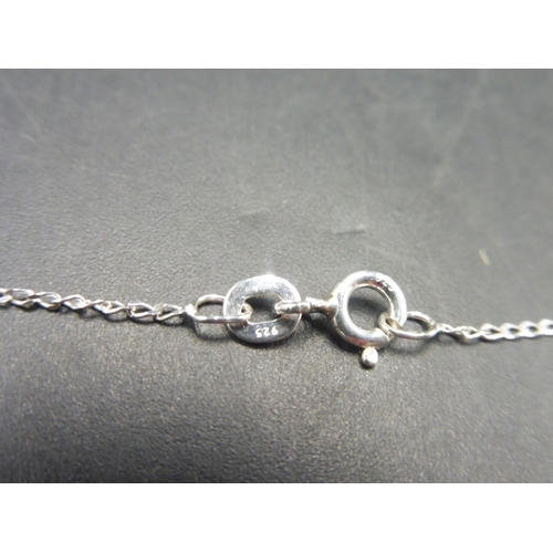 356 - Silver 925 Claw themed Pendant and Chain Complete with Presentation Box