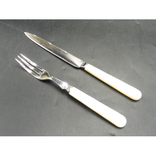 269 - Silver Plated 12 Piece Cutlery Set with Mother of Pearl Handles complete with Case