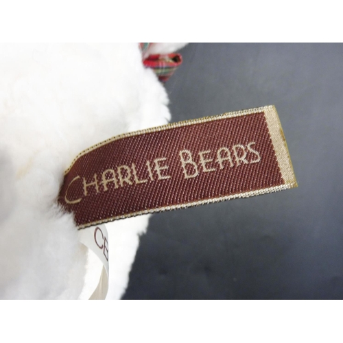 14 - Charlie Bear 