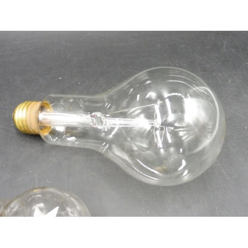 50 - Collection of Vintage Light Bulbs