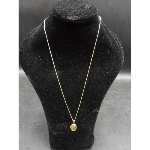 490 - Gold 9ct Locket Pendant and Chain Complete with Presentation Box