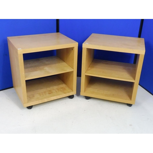 676 - Two Ikea Storage Cabinets with Adjustable Shelves (20.5 x 20.5 x 16)