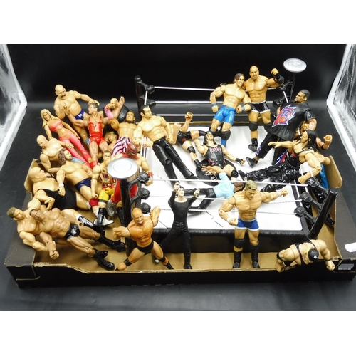 wwe figure box
