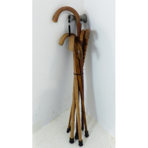 703 - Seven Walking Sticks