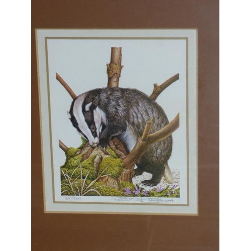 176 - Set of Framed and Glazed Limited Edition Signed Prints of 1977 British Wildlife Stamps