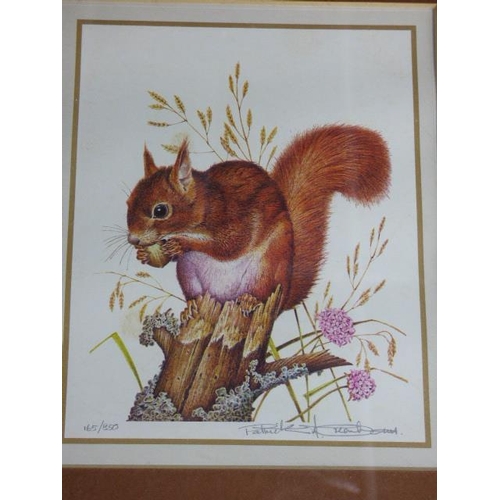 176 - Set of Framed and Glazed Limited Edition Signed Prints of 1977 British Wildlife Stamps