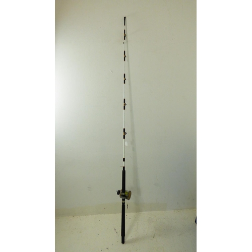 423 - Penn Fishing Rod with Mitchell Reel