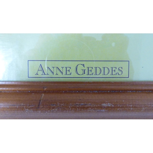 66 - Anne Geddes Framed and Glazed Picture entitled Pansies 38