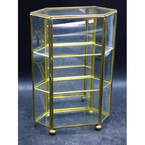 138 - Mirrored Glass Display Case (9