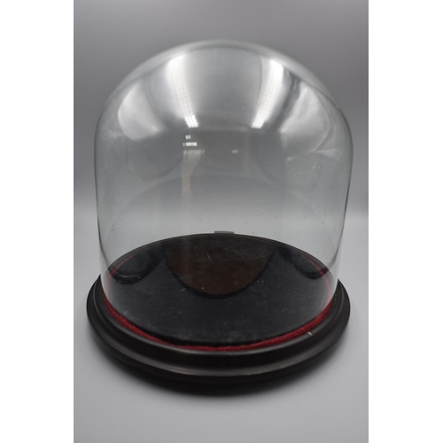 61 - Display Stand complete with Glass Dome (Approx 10