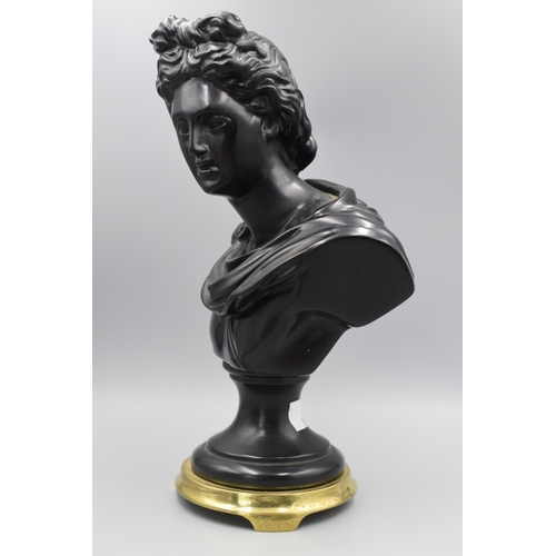 15 - Classical Black Resin Bust Mounted on Brass Base (10