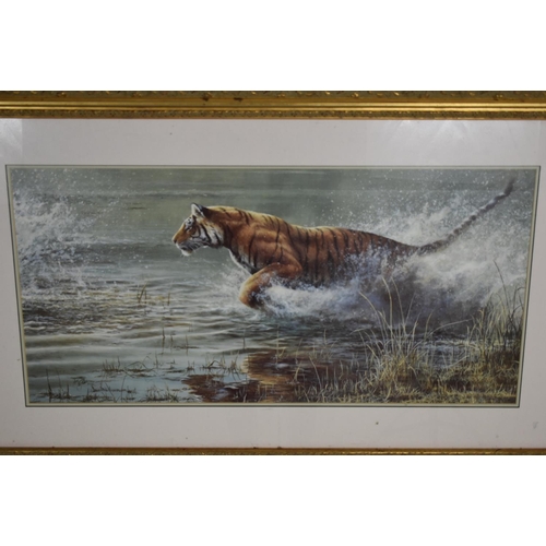 167 - Framed and Glazed picture depicting Tiger Hunting (42